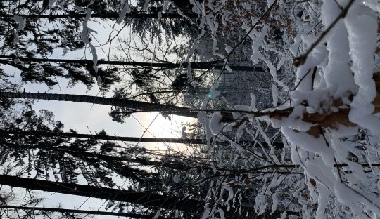 Winter im Fränkischen Wald Winter im Fränkischen Wald